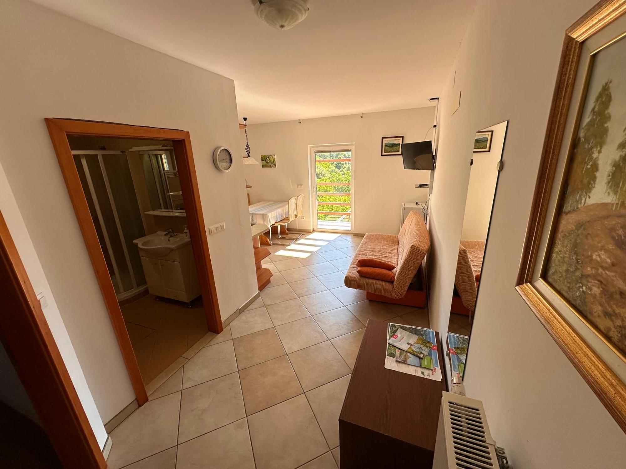 Apartments Suster Stari Trg ob Kolpi 外观 照片